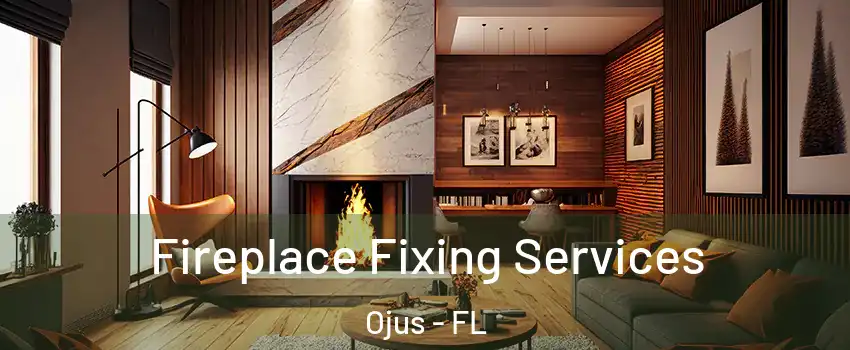  Fireplace Fixing Services Ojus - FL