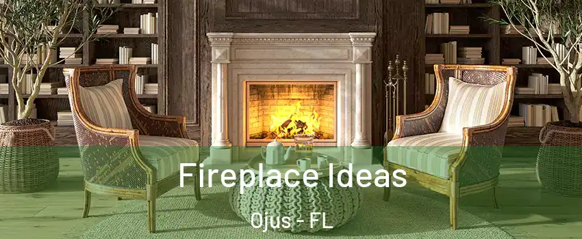  Fireplace Ideas Ojus - FL