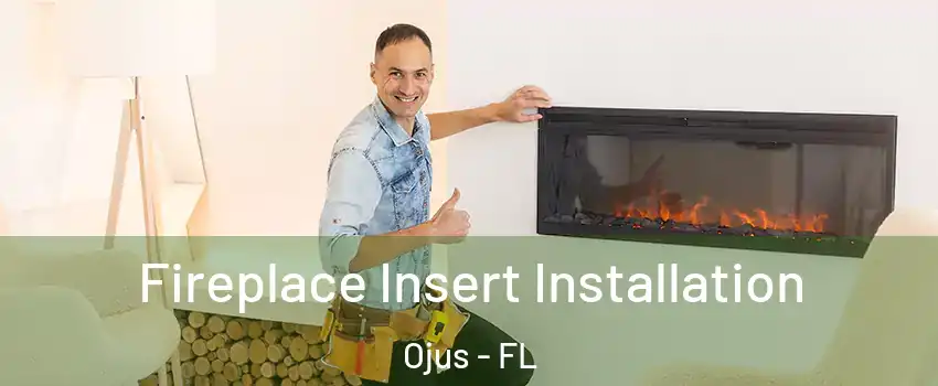  Fireplace Insert Installation Ojus - FL