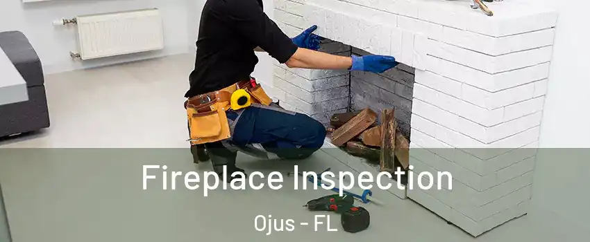  Fireplace Inspection Ojus - FL