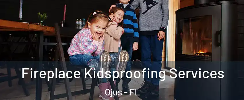  Fireplace Kidsproofing Services Ojus - FL