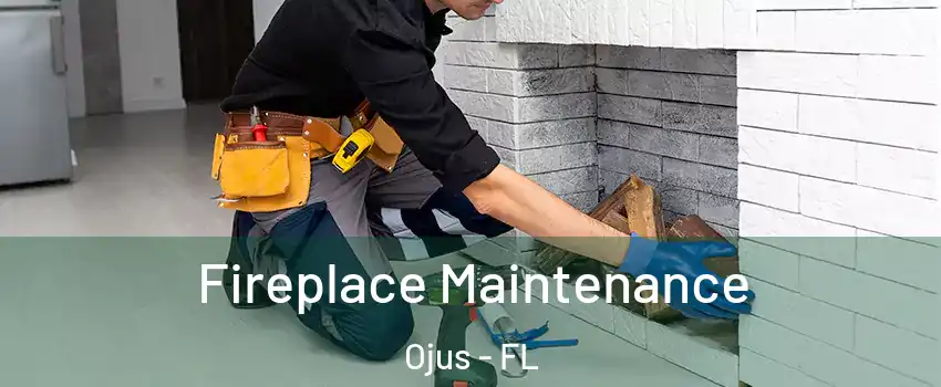  Fireplace Maintenance Ojus - FL