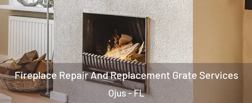  Fireplace Repair And Replacement Grate Services Ojus - FL