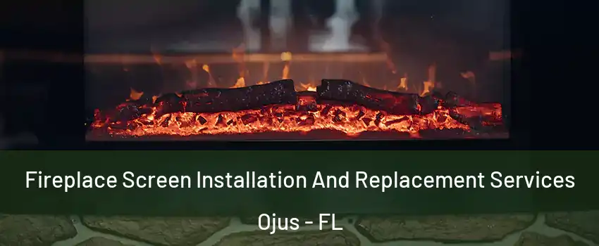  Fireplace Screen Installation And Replacement Services Ojus - FL