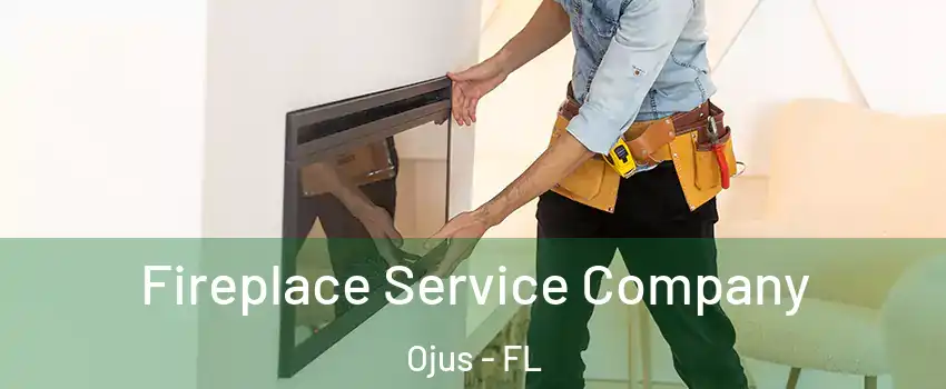  Fireplace Service Company Ojus - FL