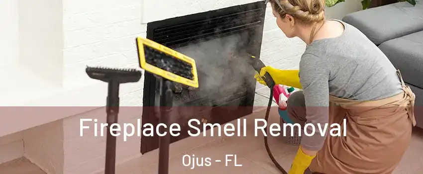  Fireplace Smell Removal Ojus - FL