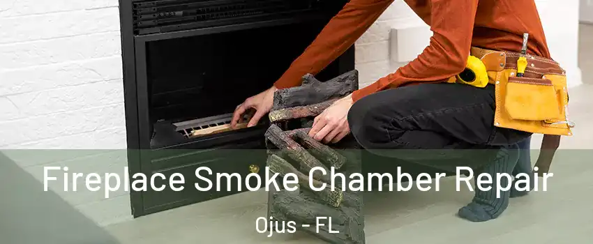  Fireplace Smoke Chamber Repair Ojus - FL
