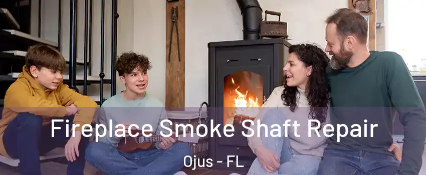 Fireplace Smoke Shaft Repair Ojus - FL