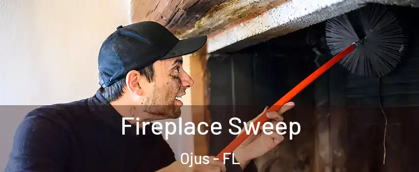  Fireplace Sweep Ojus - FL