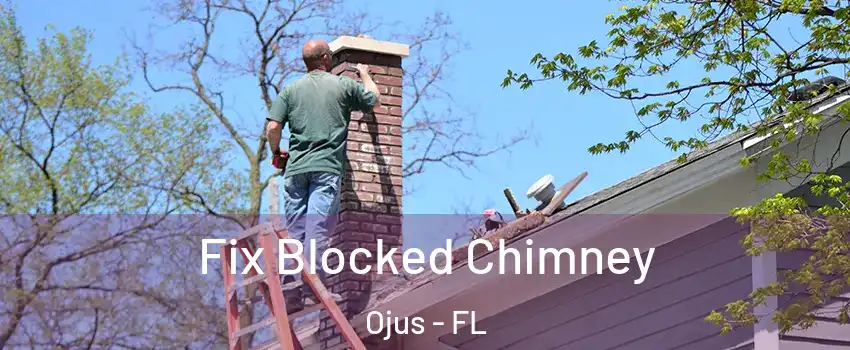  Fix Blocked Chimney Ojus - FL