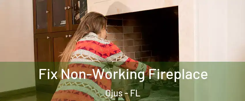  Fix Non-Working Fireplace Ojus - FL