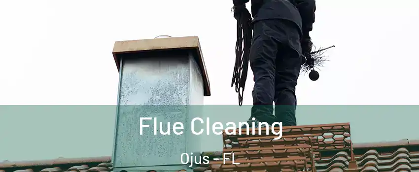  Flue Cleaning Ojus - FL