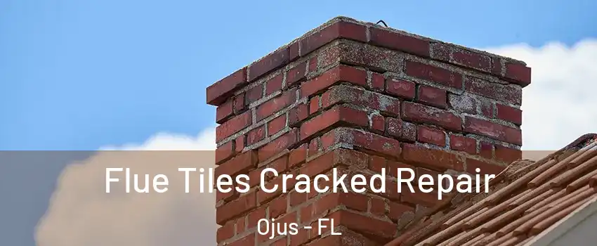  Flue Tiles Cracked Repair Ojus - FL