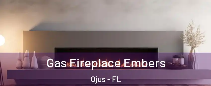  Gas Fireplace Embers Ojus - FL
