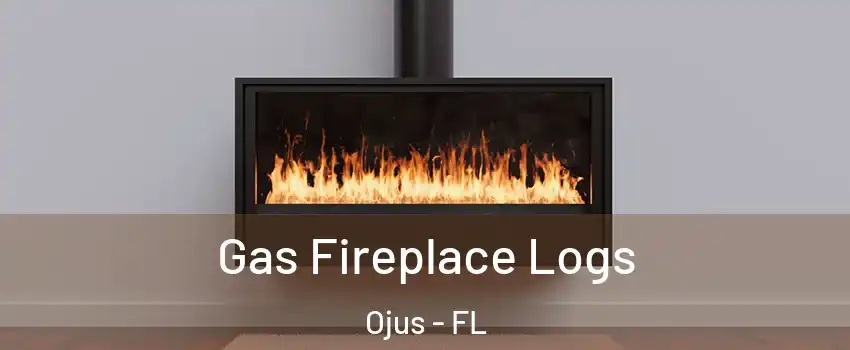  Gas Fireplace Logs Ojus - FL