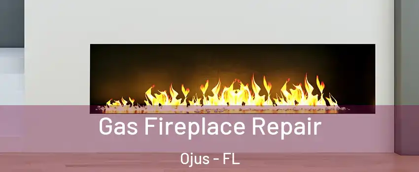  Gas Fireplace Repair Ojus - FL