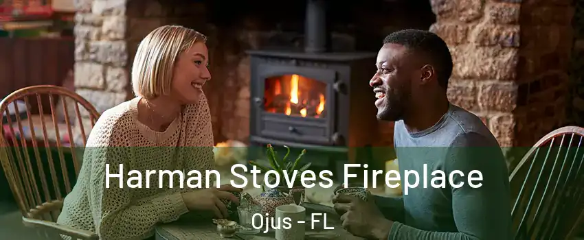  Harman Stoves Fireplace Ojus - FL