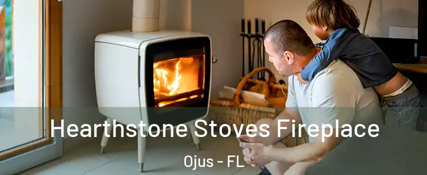  Hearthstone Stoves Fireplace Ojus - FL