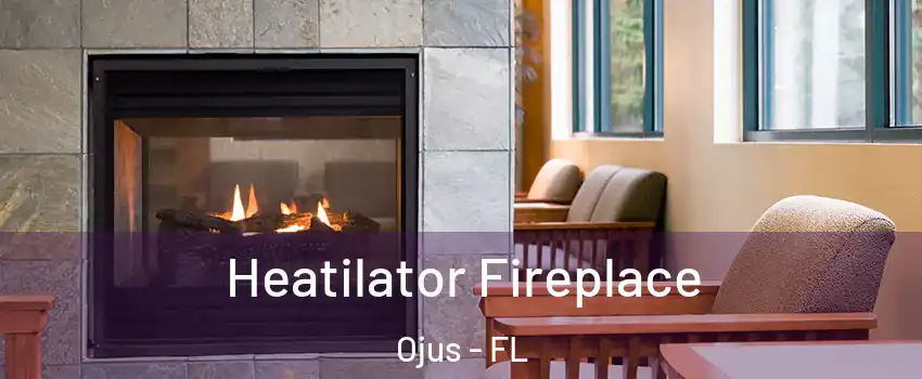  Heatilator Fireplace Ojus - FL