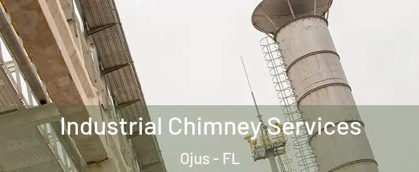  Industrial Chimney Services Ojus - FL
