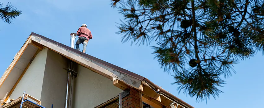 Birds Removal Contractors from Chimney in Ojus, FL