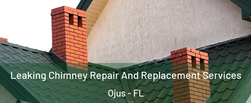  Leaking Chimney Repair And Replacement Services Ojus - FL