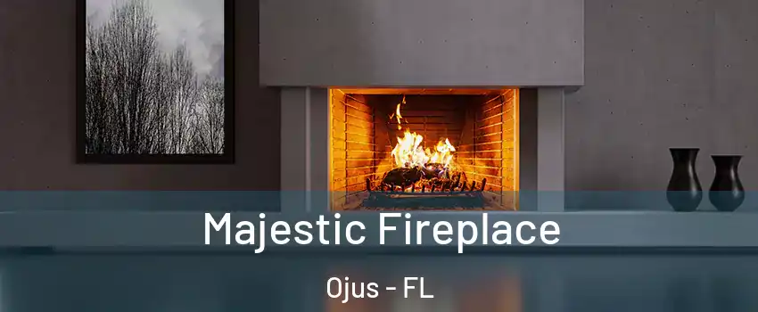  Majestic Fireplace Ojus - FL
