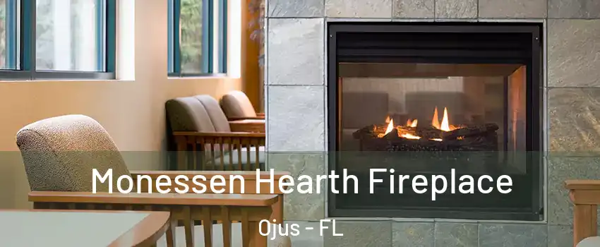  Monessen Hearth Fireplace Ojus - FL