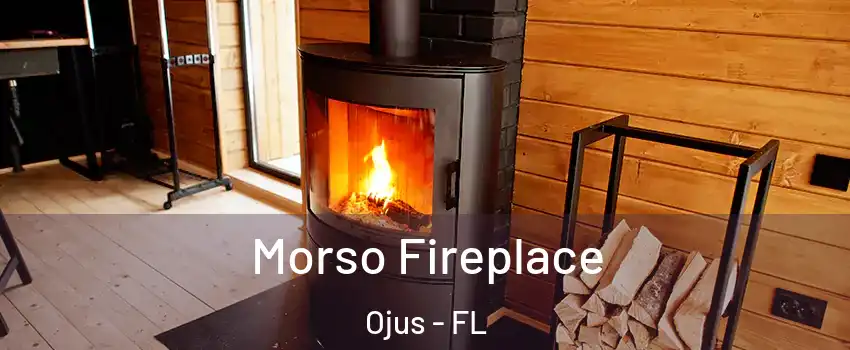  Morso Fireplace Ojus - FL