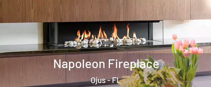  Napoleon Fireplace Ojus - FL
