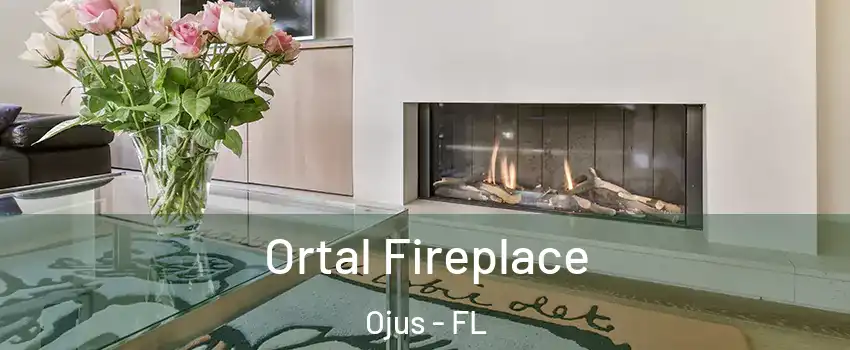  Ortal Fireplace Ojus - FL