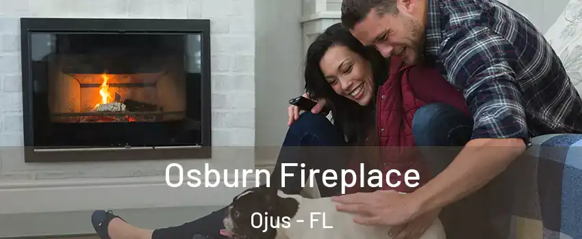  Osburn Fireplace Ojus - FL