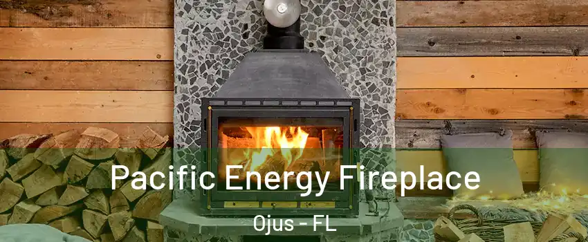 Pacific Energy Fireplace Ojus - FL