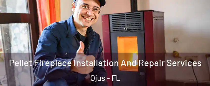  Pellet Fireplace Installation And Repair Services Ojus - FL