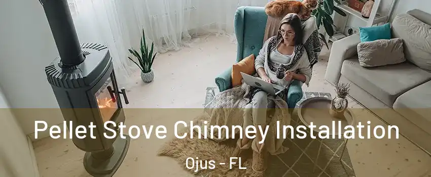 Pellet Stove Chimney Installation Ojus - FL