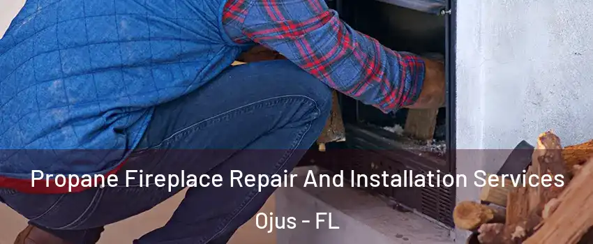  Propane Fireplace Repair And Installation Services Ojus - FL