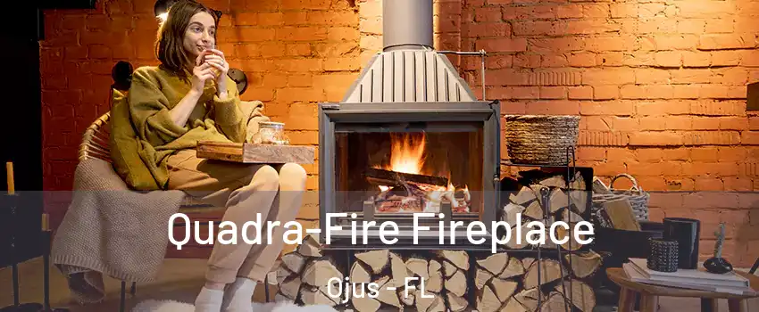  Quadra-Fire Fireplace Ojus - FL