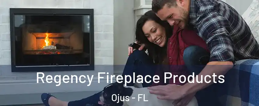  Regency Fireplace Products Ojus - FL