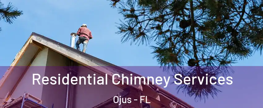  Residential Chimney Services Ojus - FL