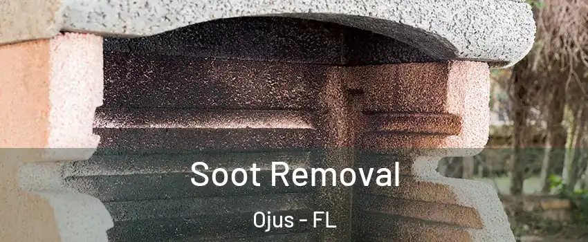  Soot Removal Ojus - FL