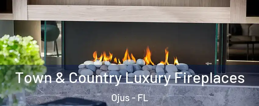  Town & Country Luxury Fireplaces Ojus - FL