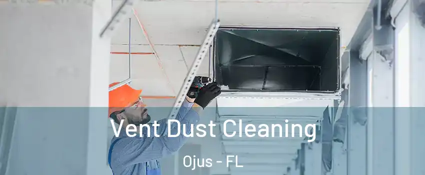  Vent Dust Cleaning Ojus - FL