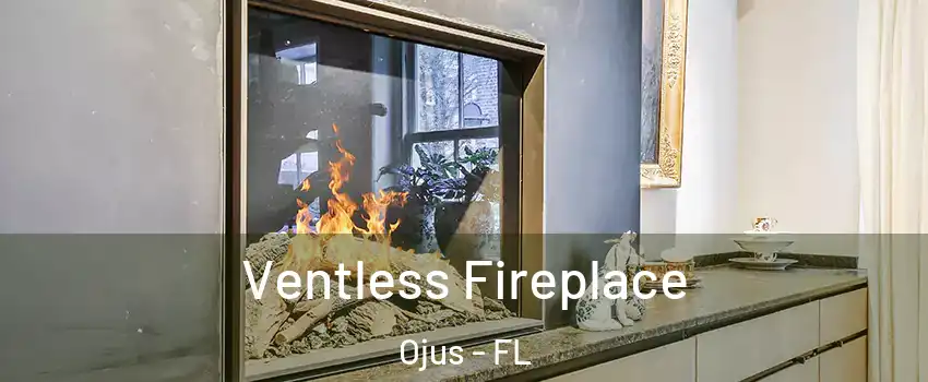  Ventless Fireplace Ojus - FL