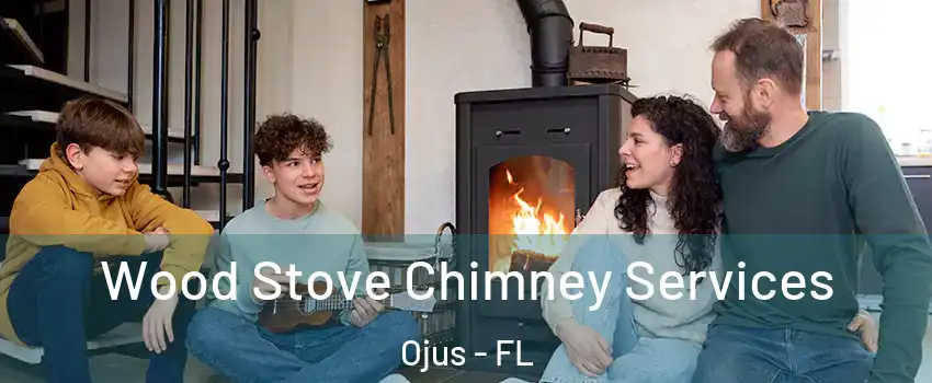  Wood Stove Chimney Services Ojus - FL