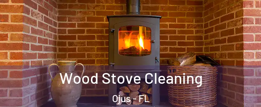  Wood Stove Cleaning Ojus - FL