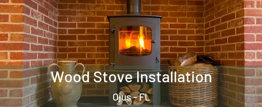  Wood Stove Installation Ojus - FL