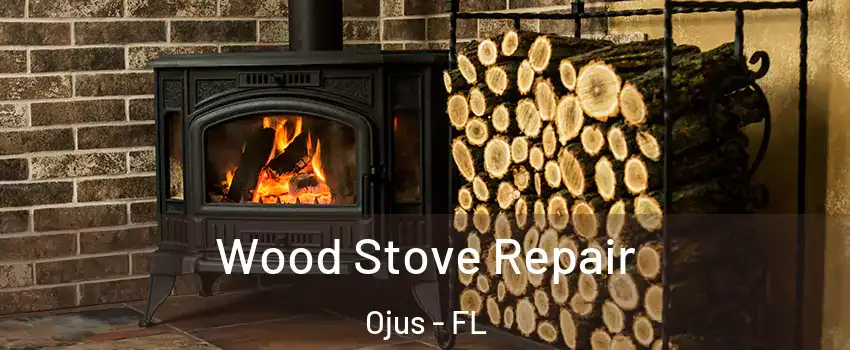  Wood Stove Repair Ojus - FL